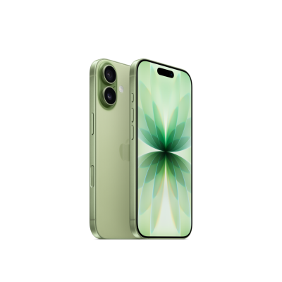 Apple iPhone 17 256 GB Sage (Dual eSIM)